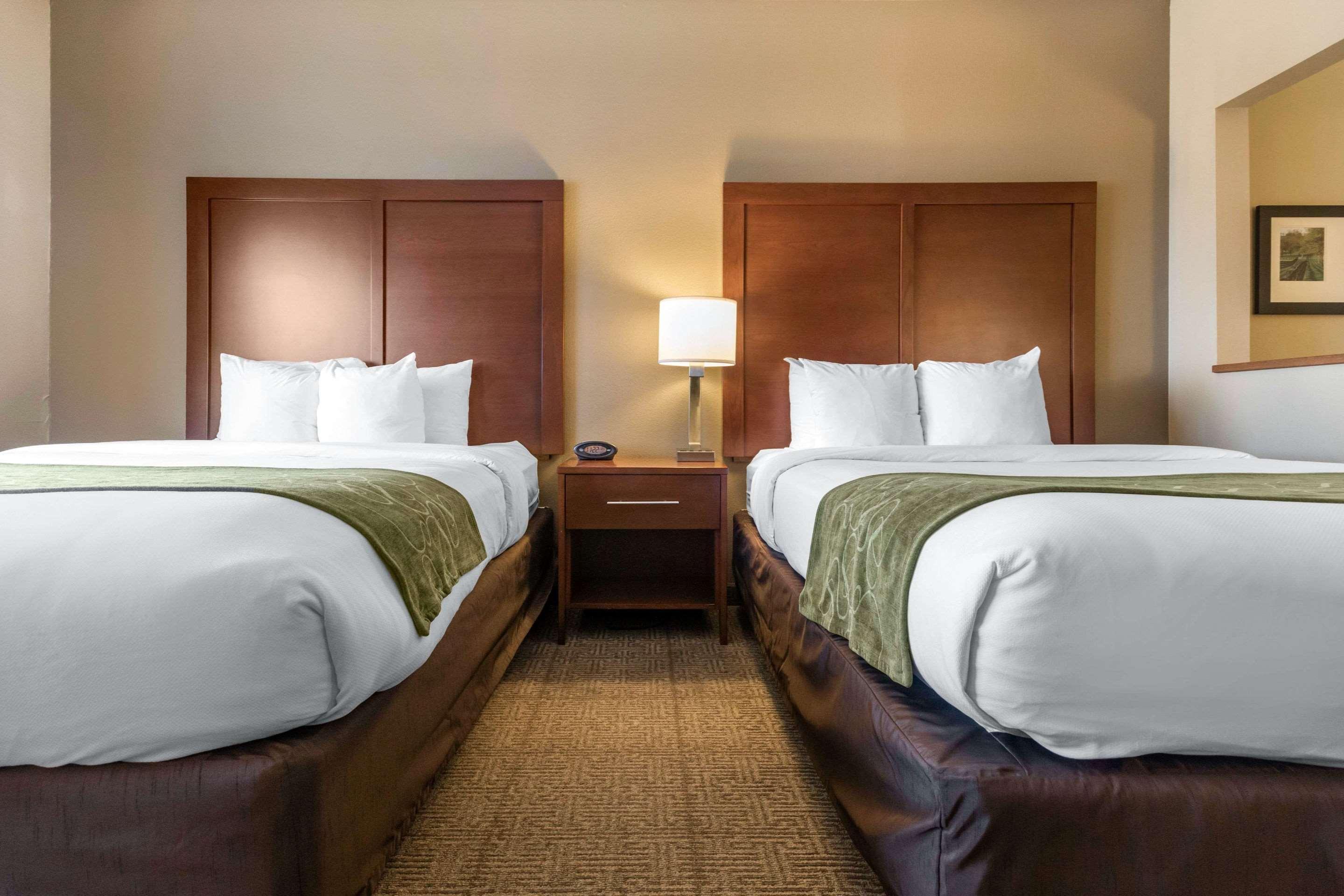 Comfort Suites Keeneland Lexington Extérieur photo
